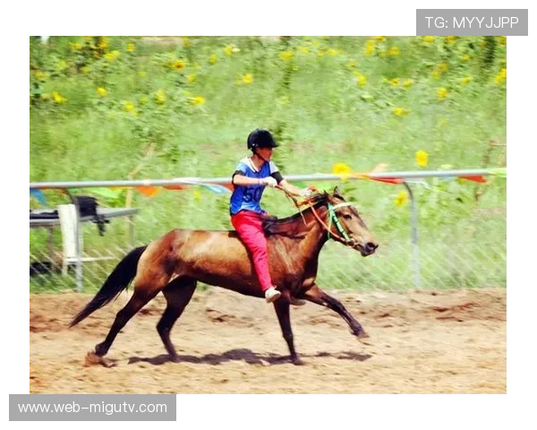 世界马术锦标赛暴雨中进行，观众热情不减
